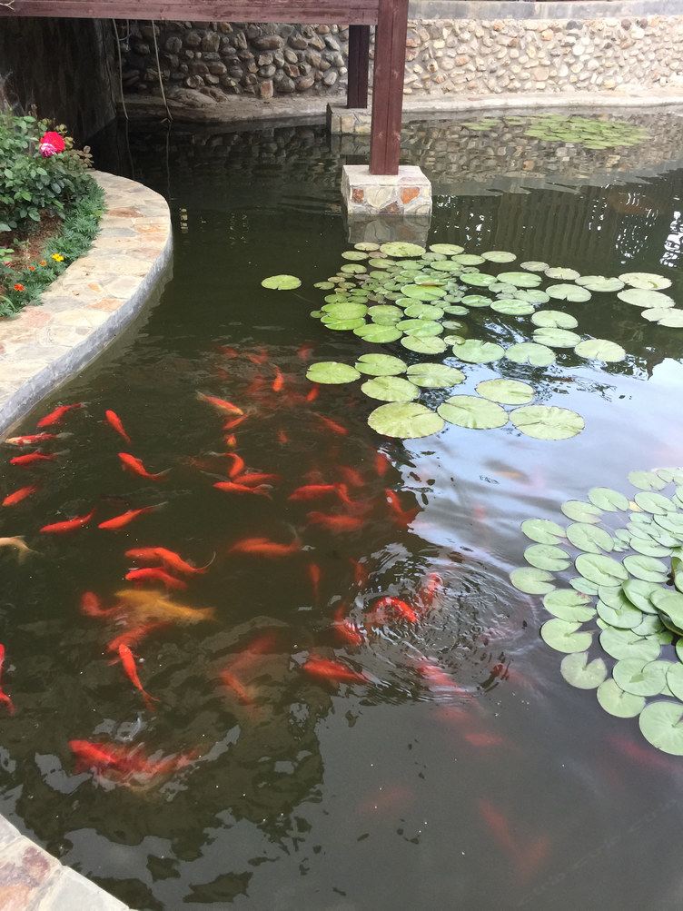 大连阿华度假别墅