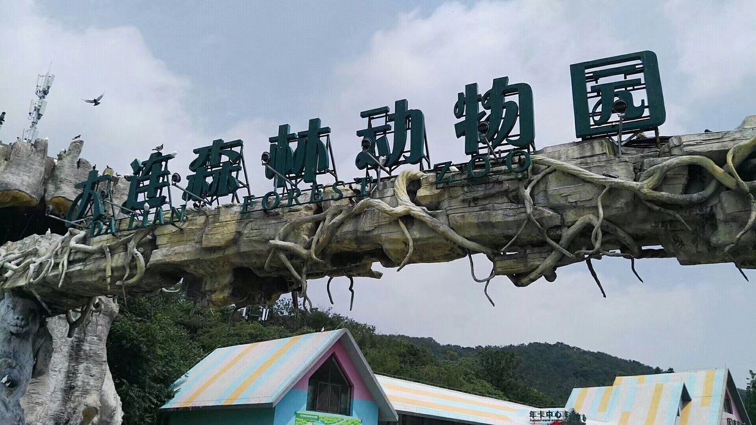 其他