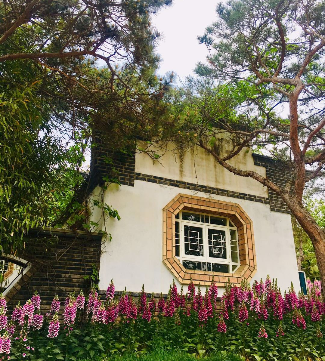 大连植物园绿谷花海民宿