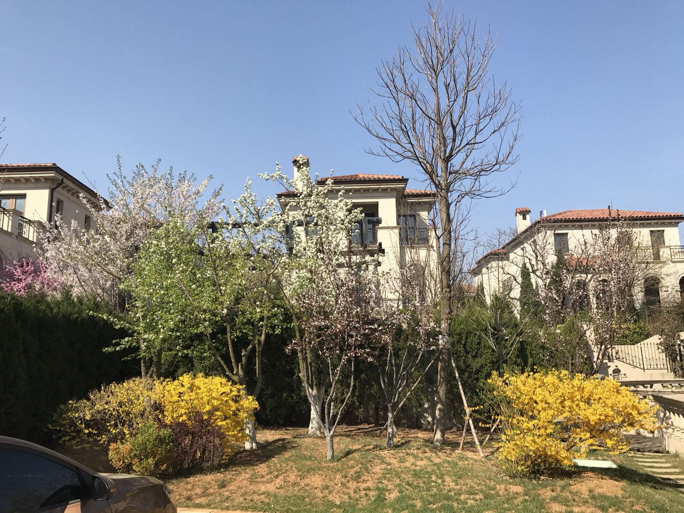 大连临海墅园联排别墅