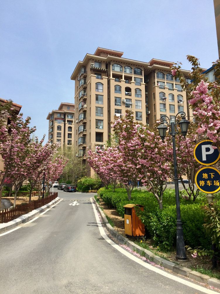 大连老旅顺银山蓝海民宿(黄金街分店)