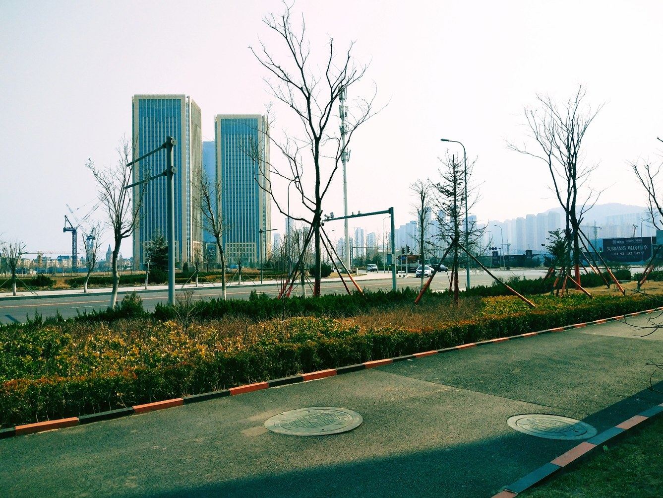 其他