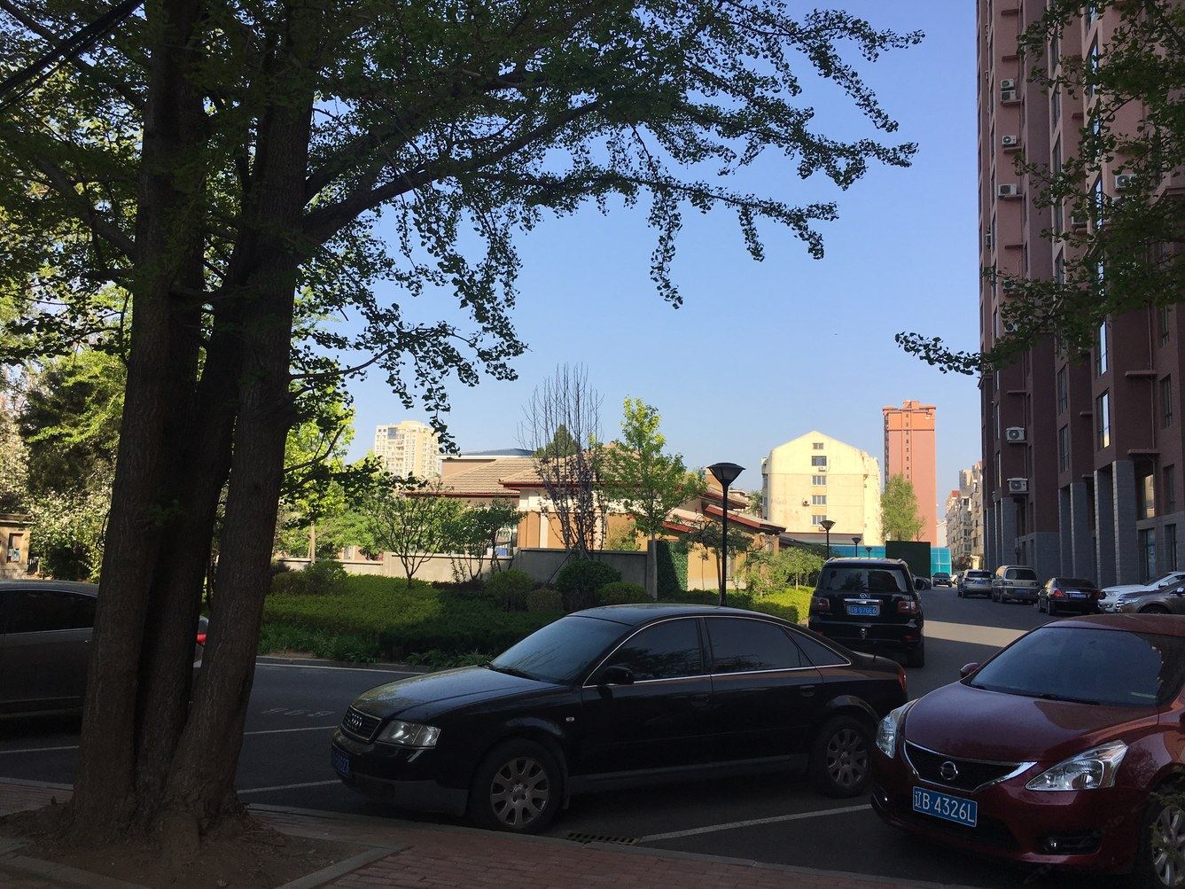 其他