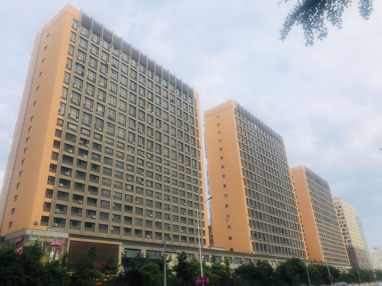 其他