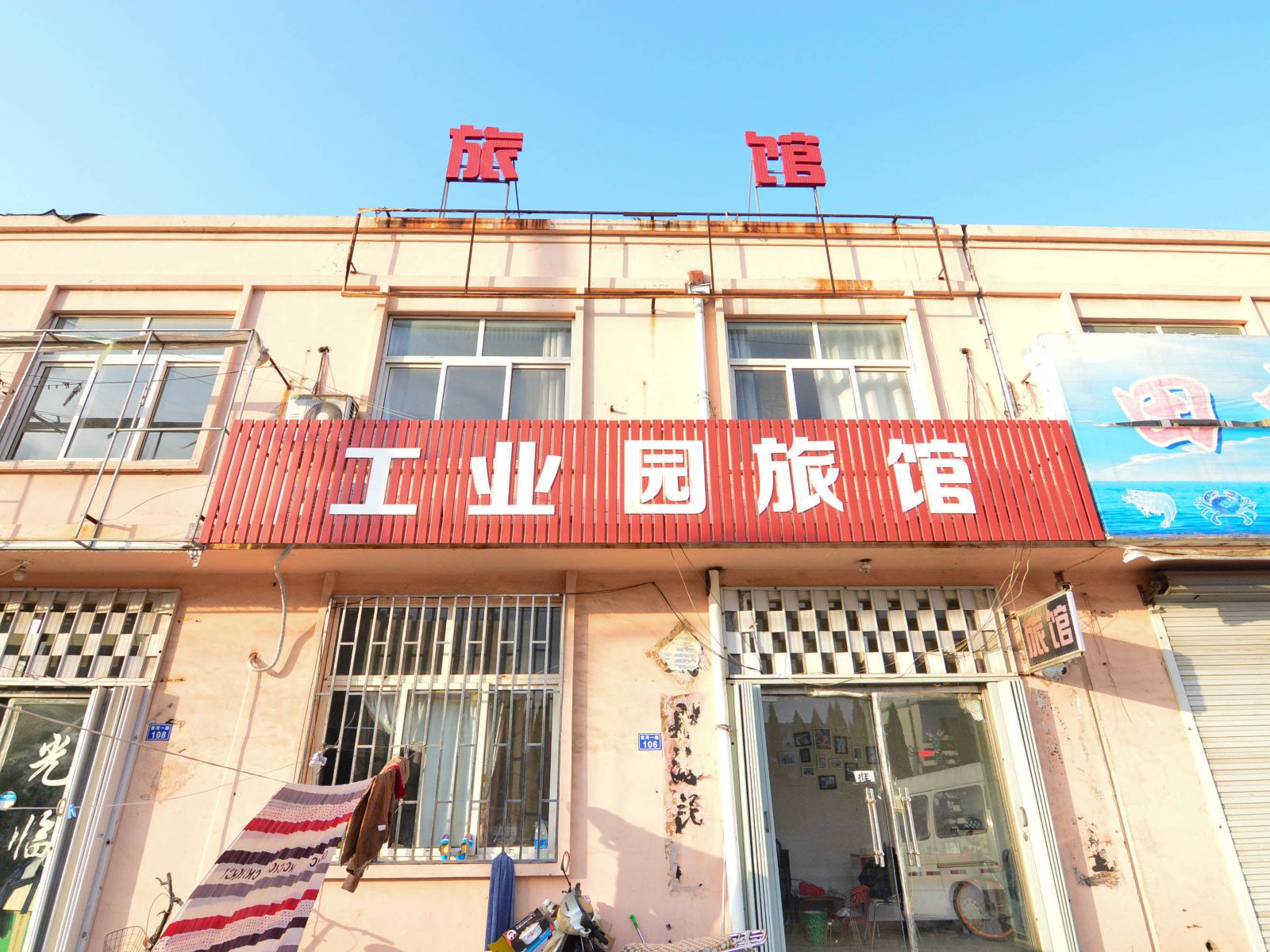 外观