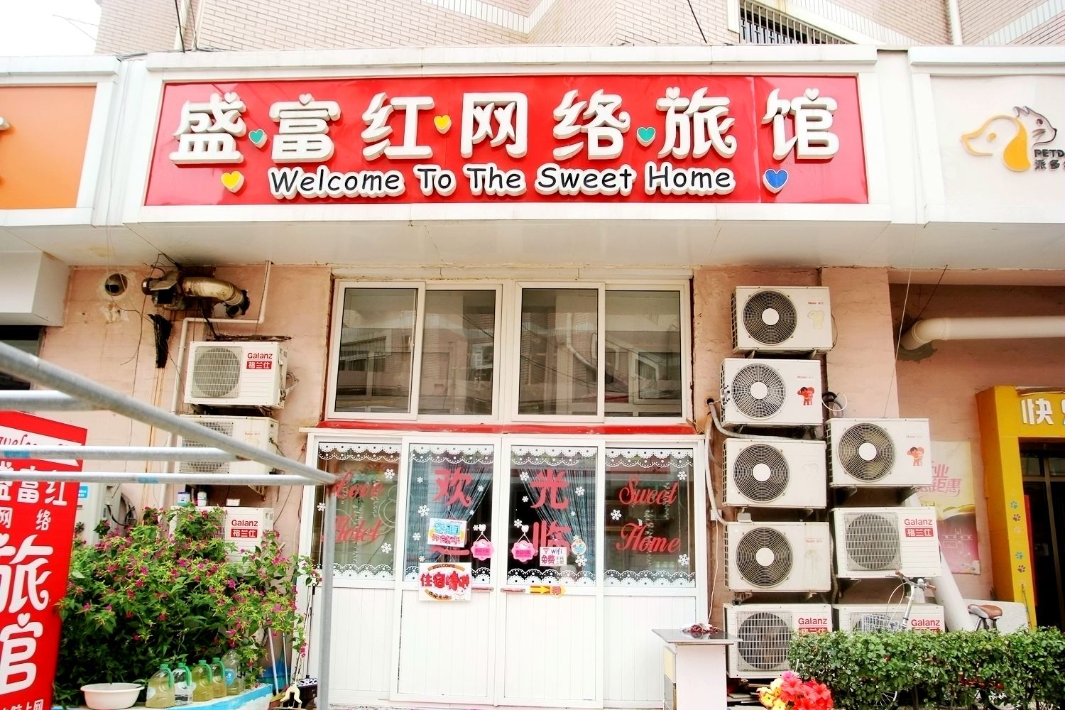 外观