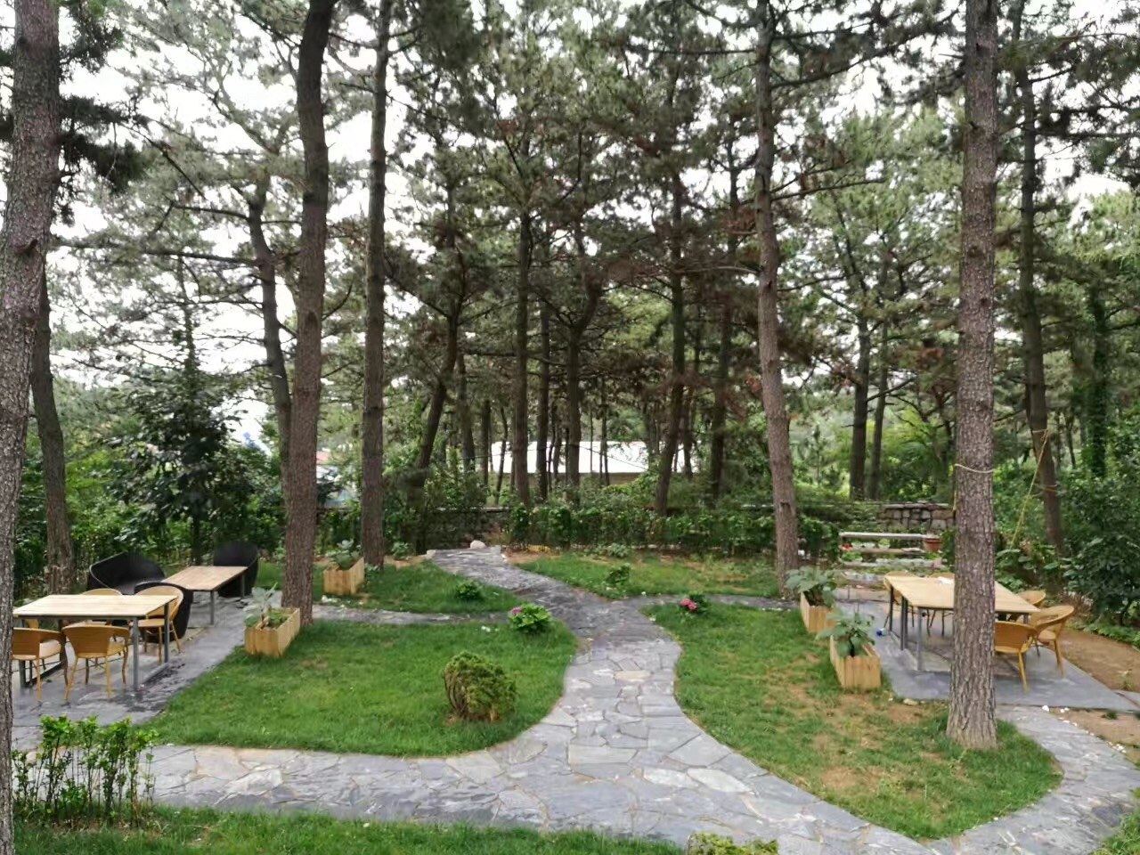 青岛The Nature Home 精品艺宿客栈