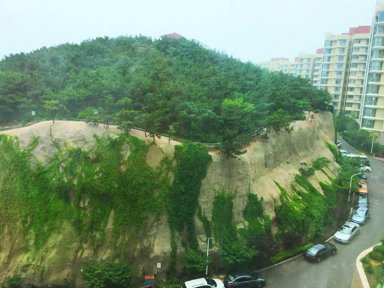 青岛明明之家普通公寓