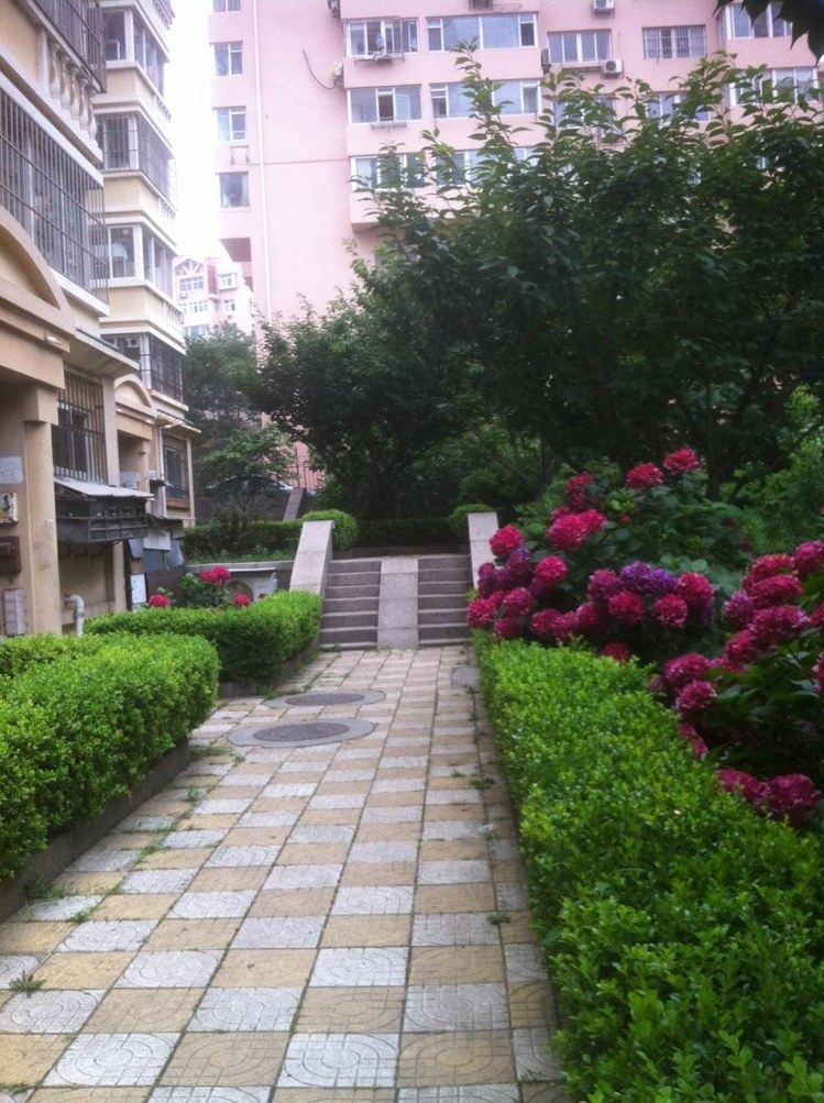 青岛小Yang阁楼公寓