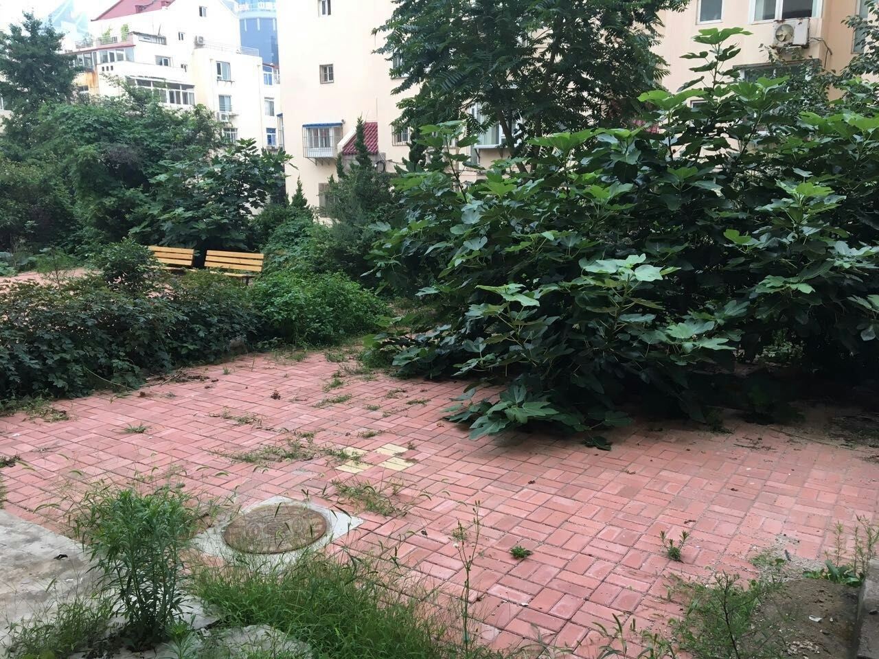 青岛八大关五四广场奥帆中心香港中路湛山寺小家普通公寓