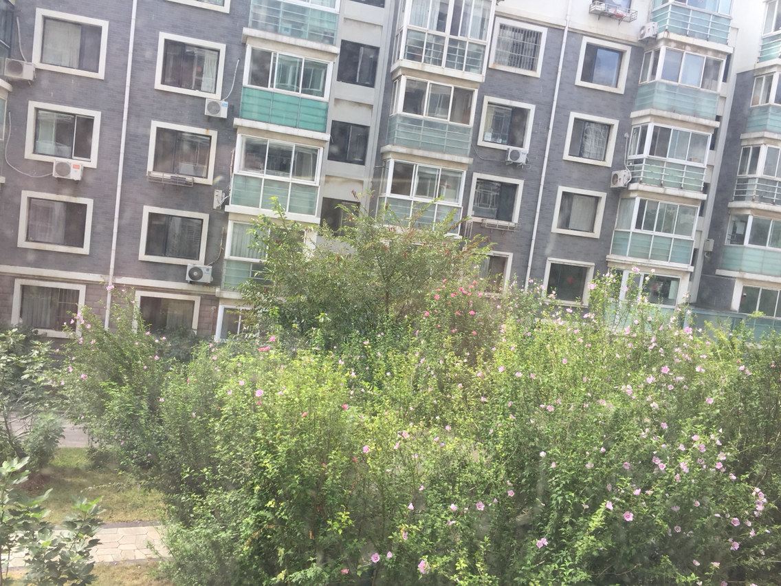 青岛和蔼的大姐普通公寓