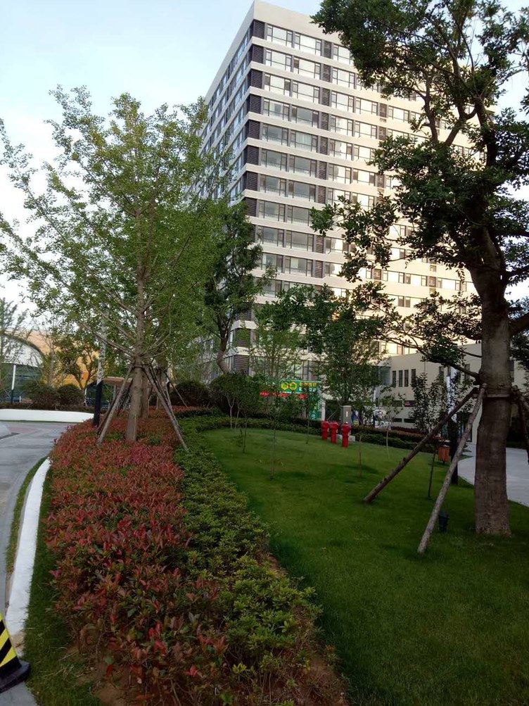 青岛电影故事公寓(滨海大道分店)