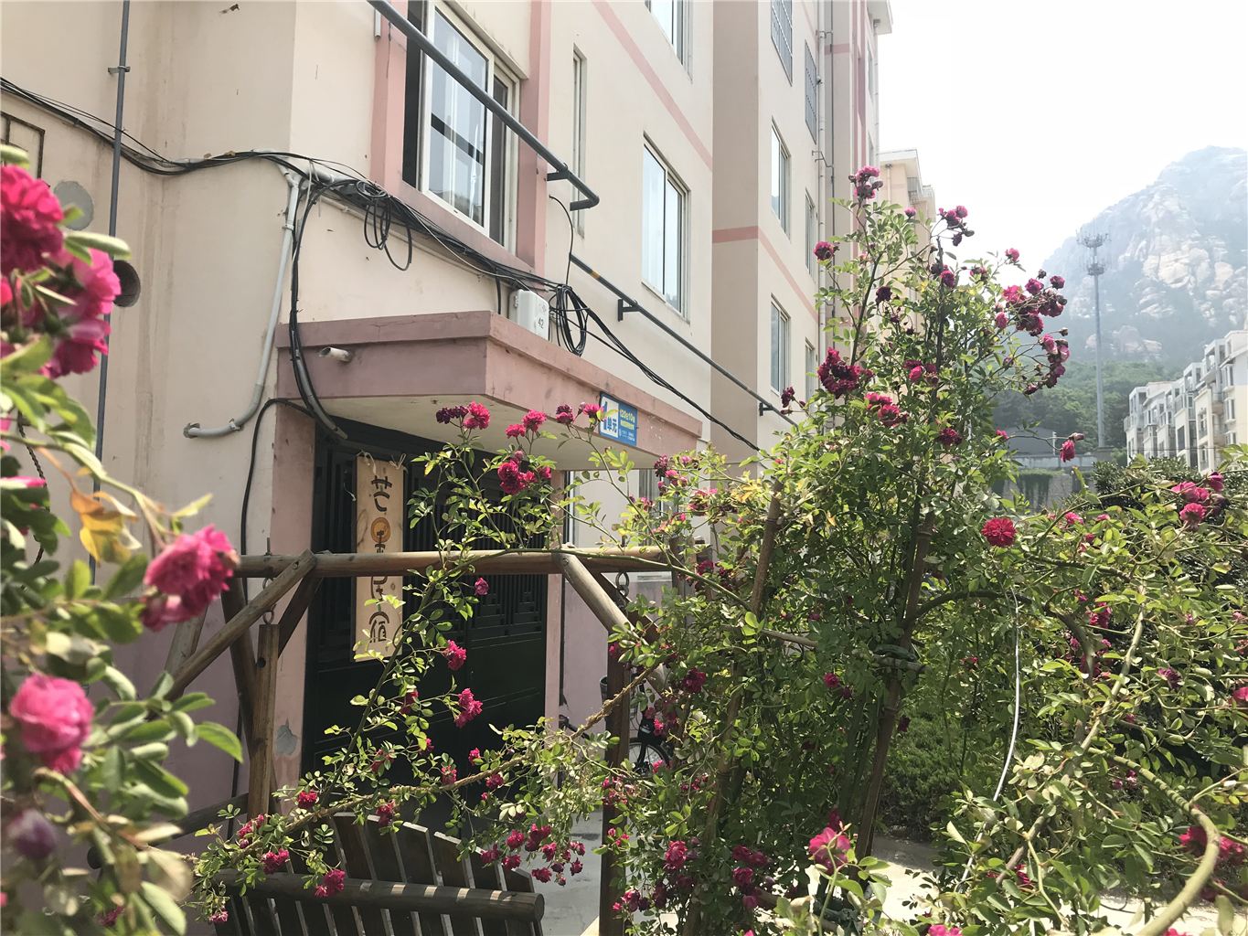 青岛芒果民宿