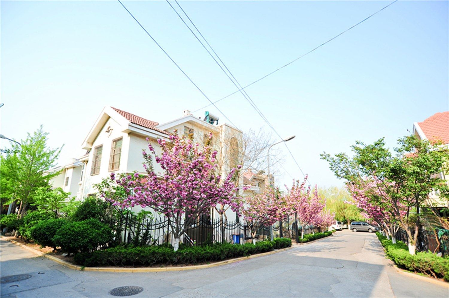 青岛嗨夜轰趴连锁老板度假别墅(4号店)