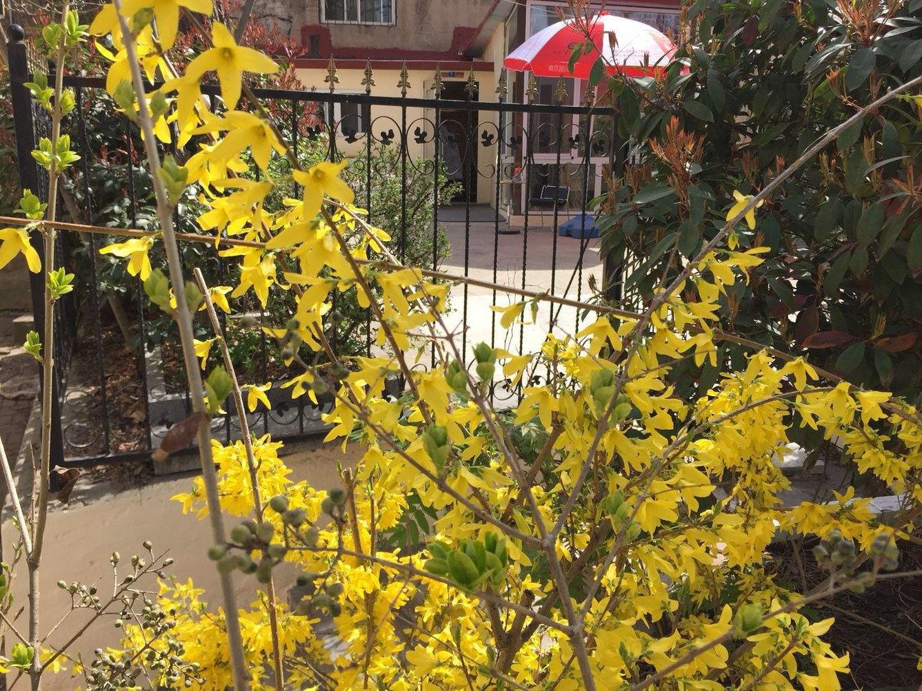 青岛赵群客栈
