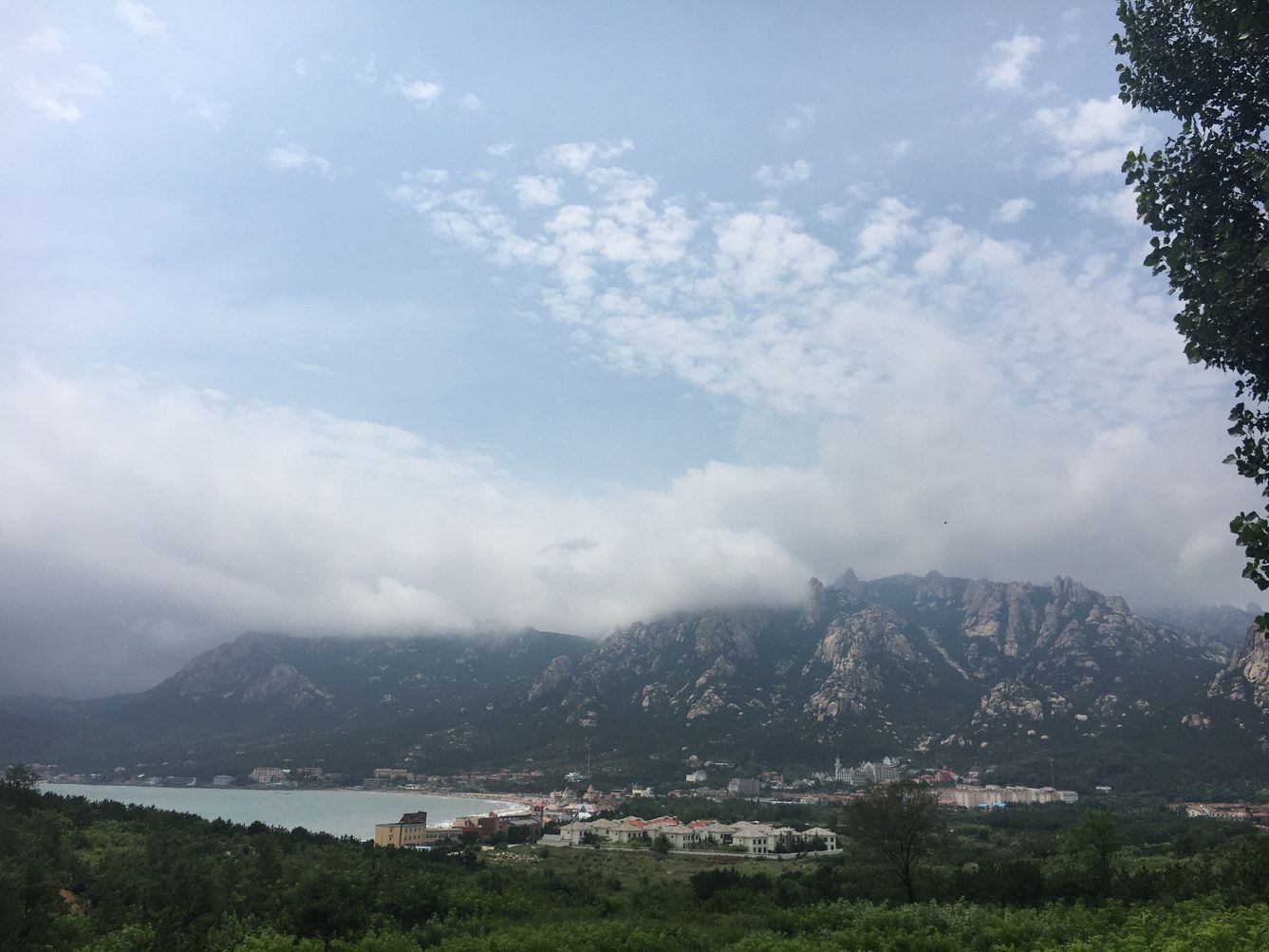 其他