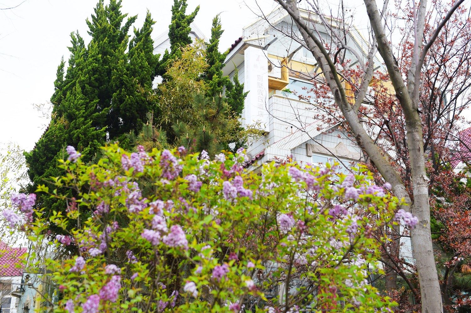 青岛觅小果之居度假别墅(11号店)