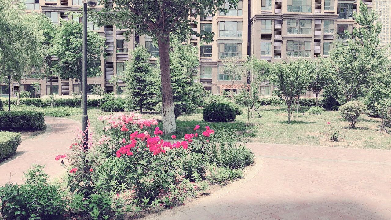青岛五四广场万象城李村乐客城公寓(2号店)