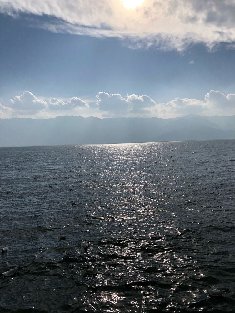 青岛浪漫之海温馨小家公寓(16号店)