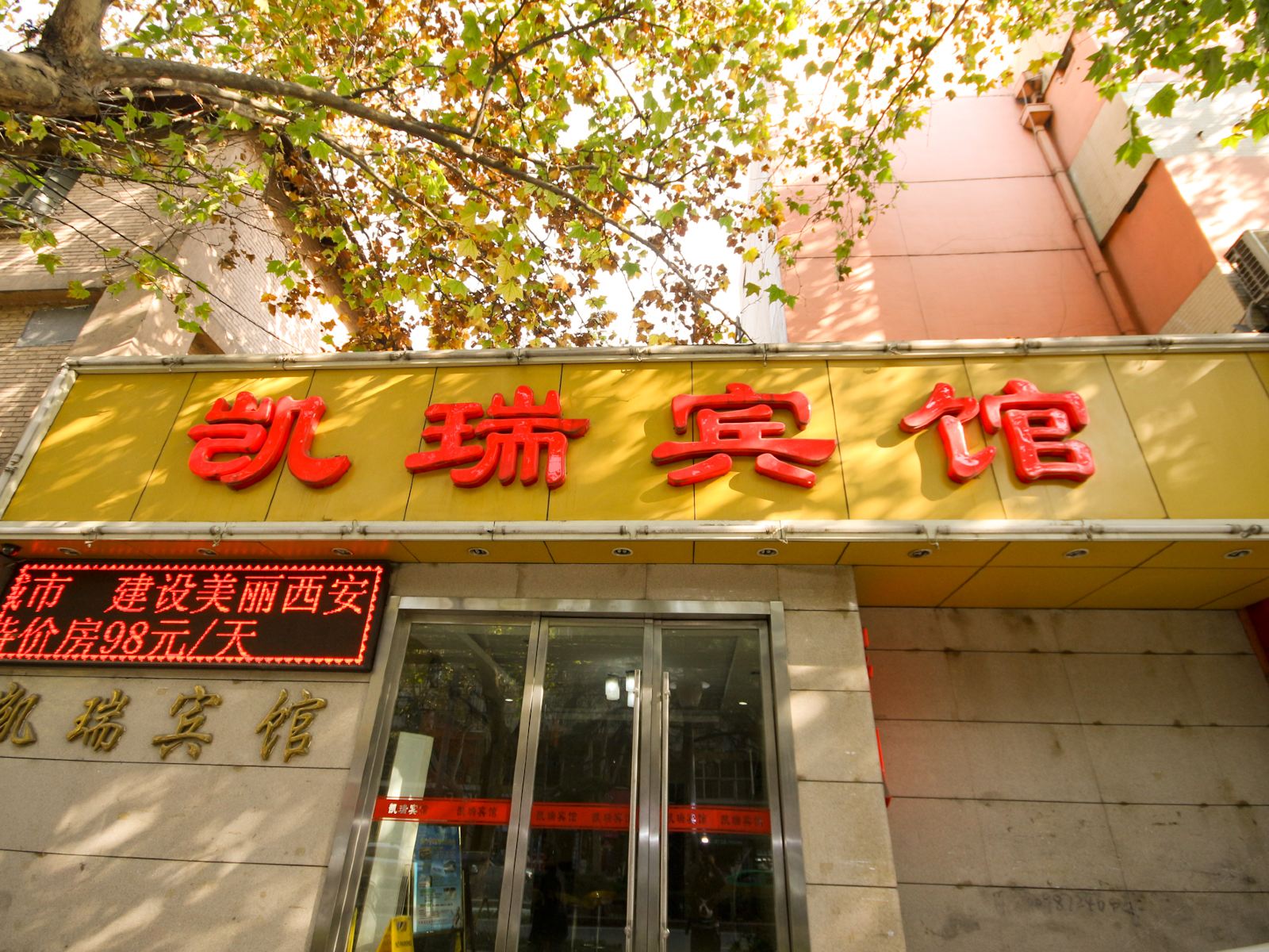 外观