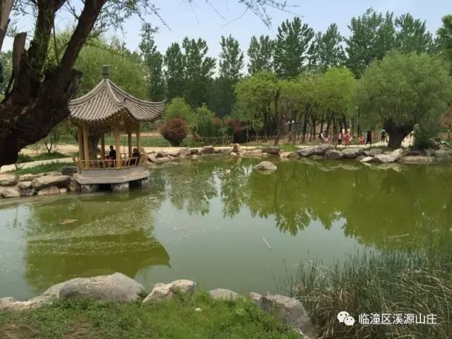 餐饮/会议