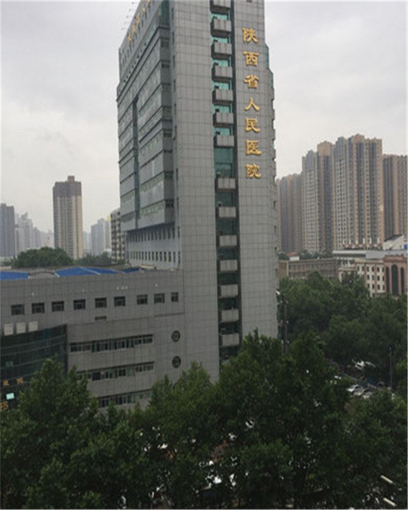 西安金凯瑞民宿