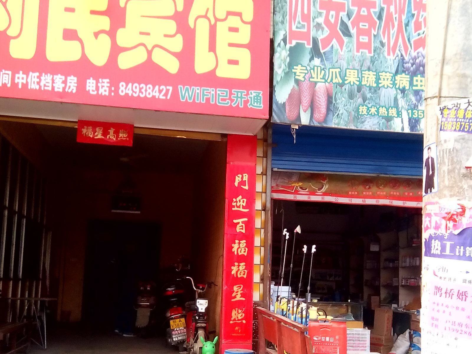 外观
