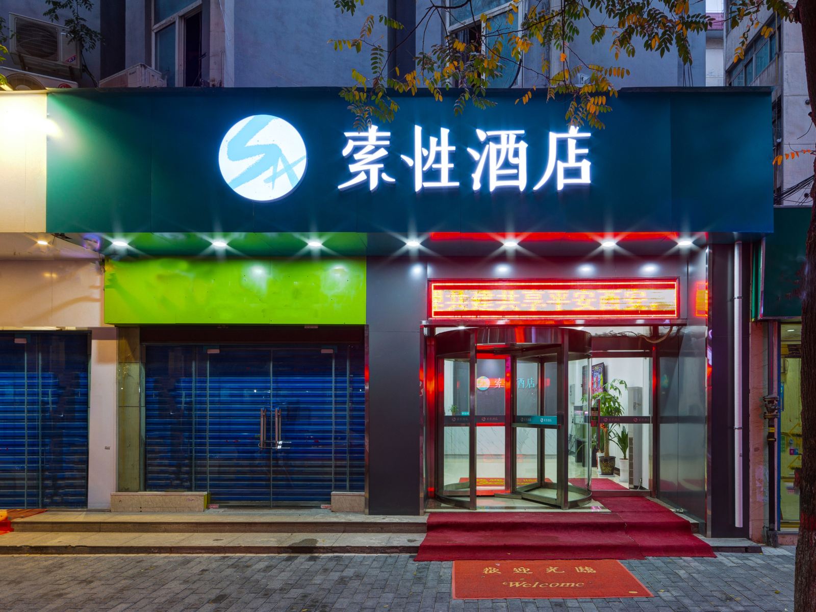 外观