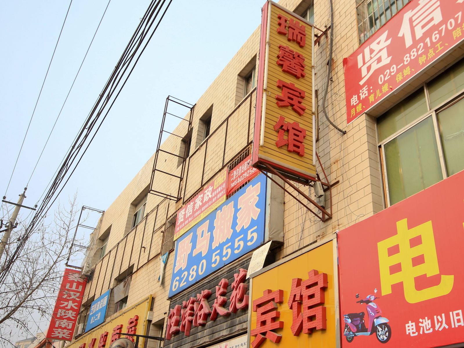 外观