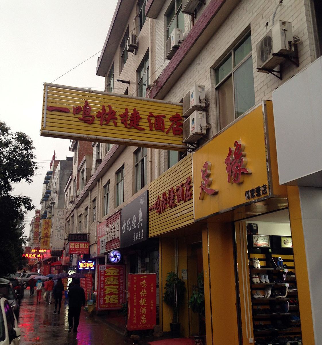外观