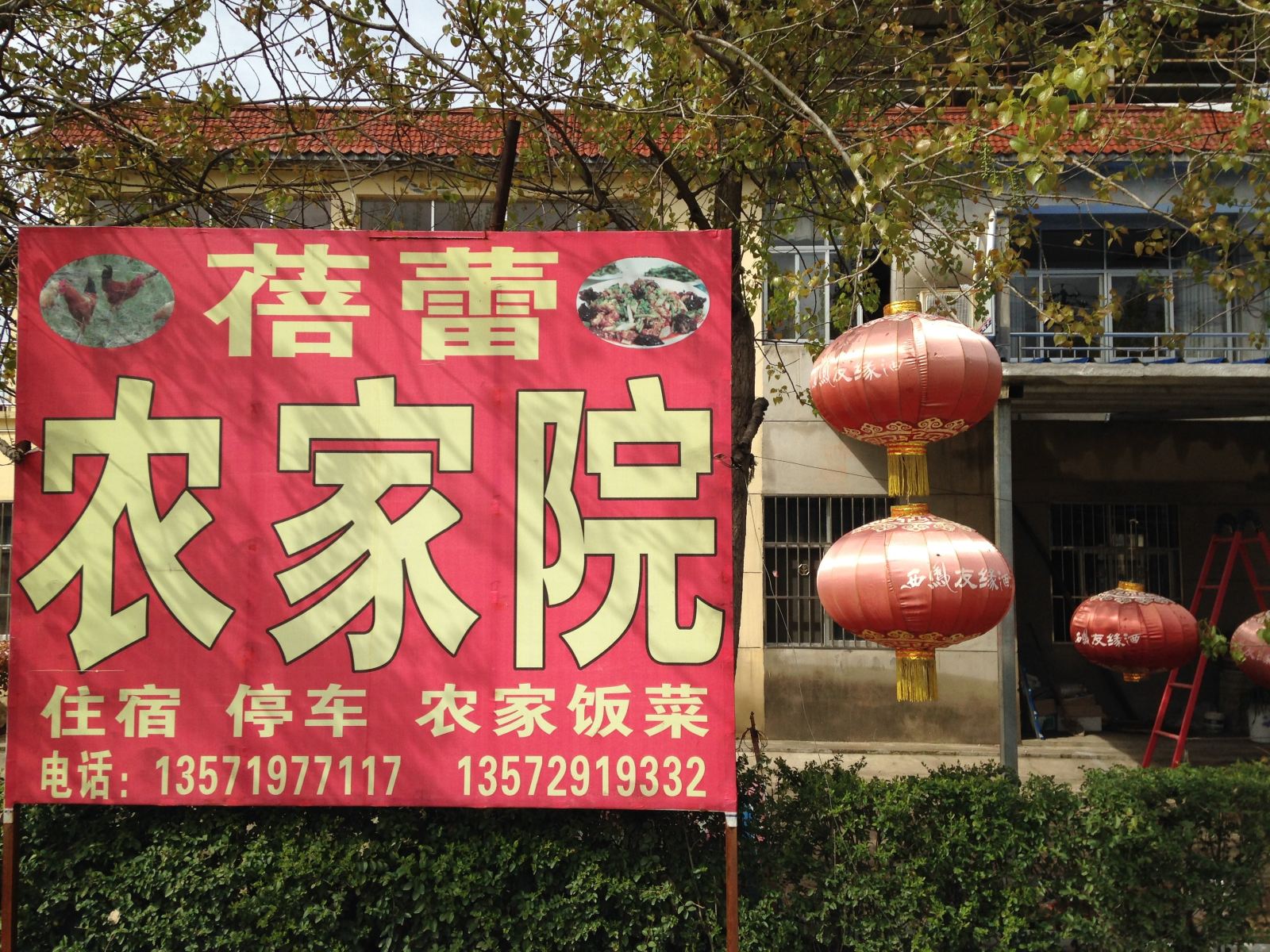外观