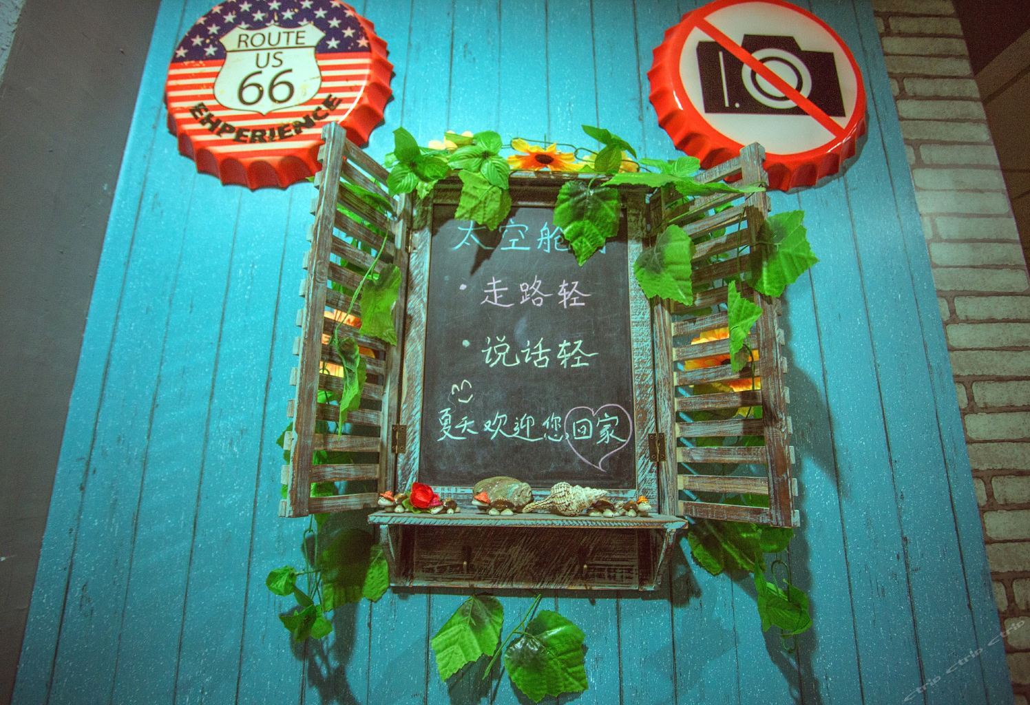 外观