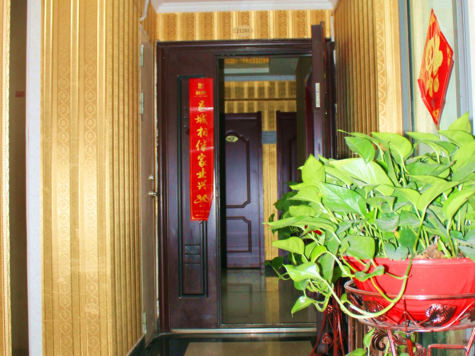 公共区域