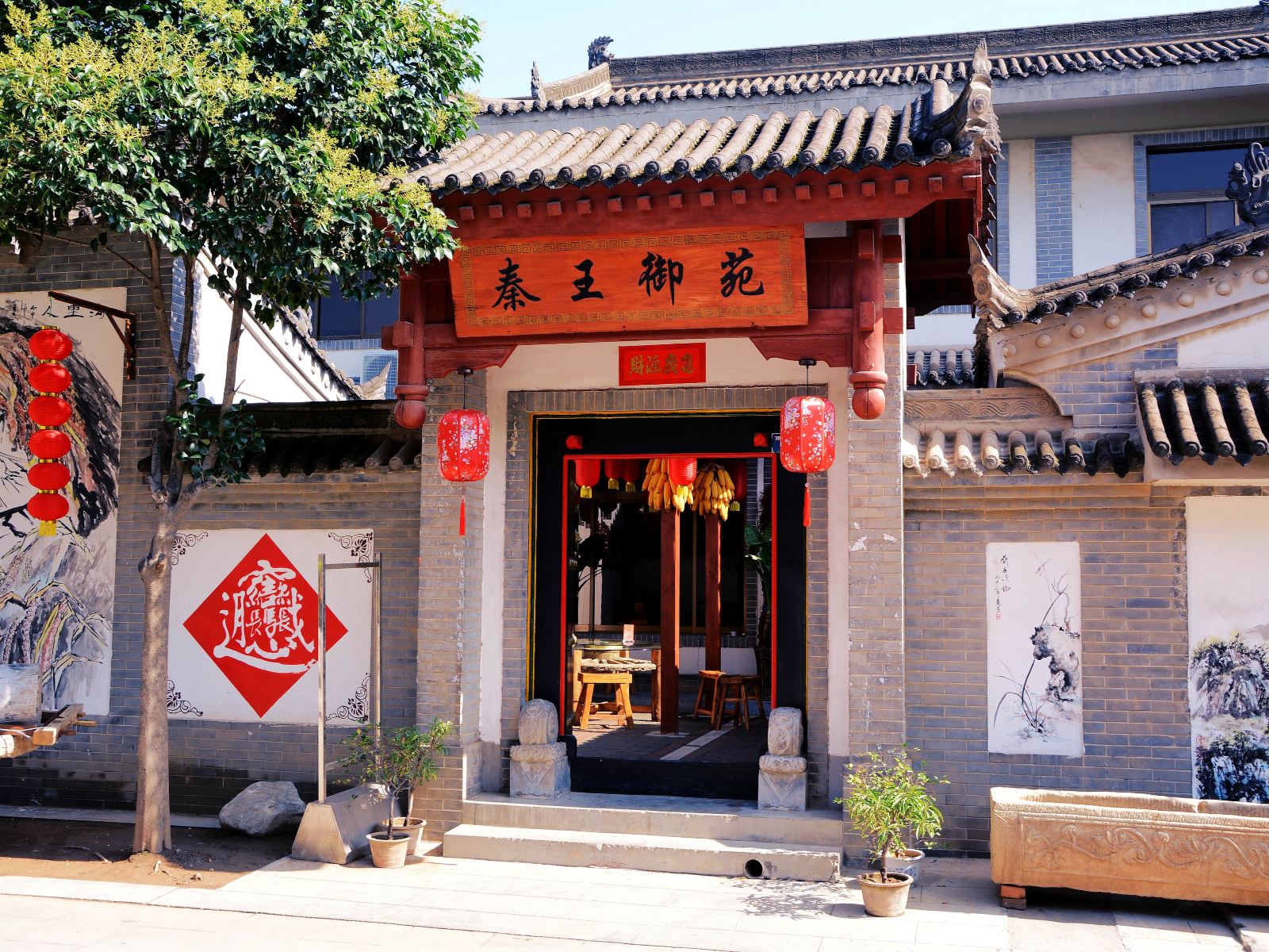 外观