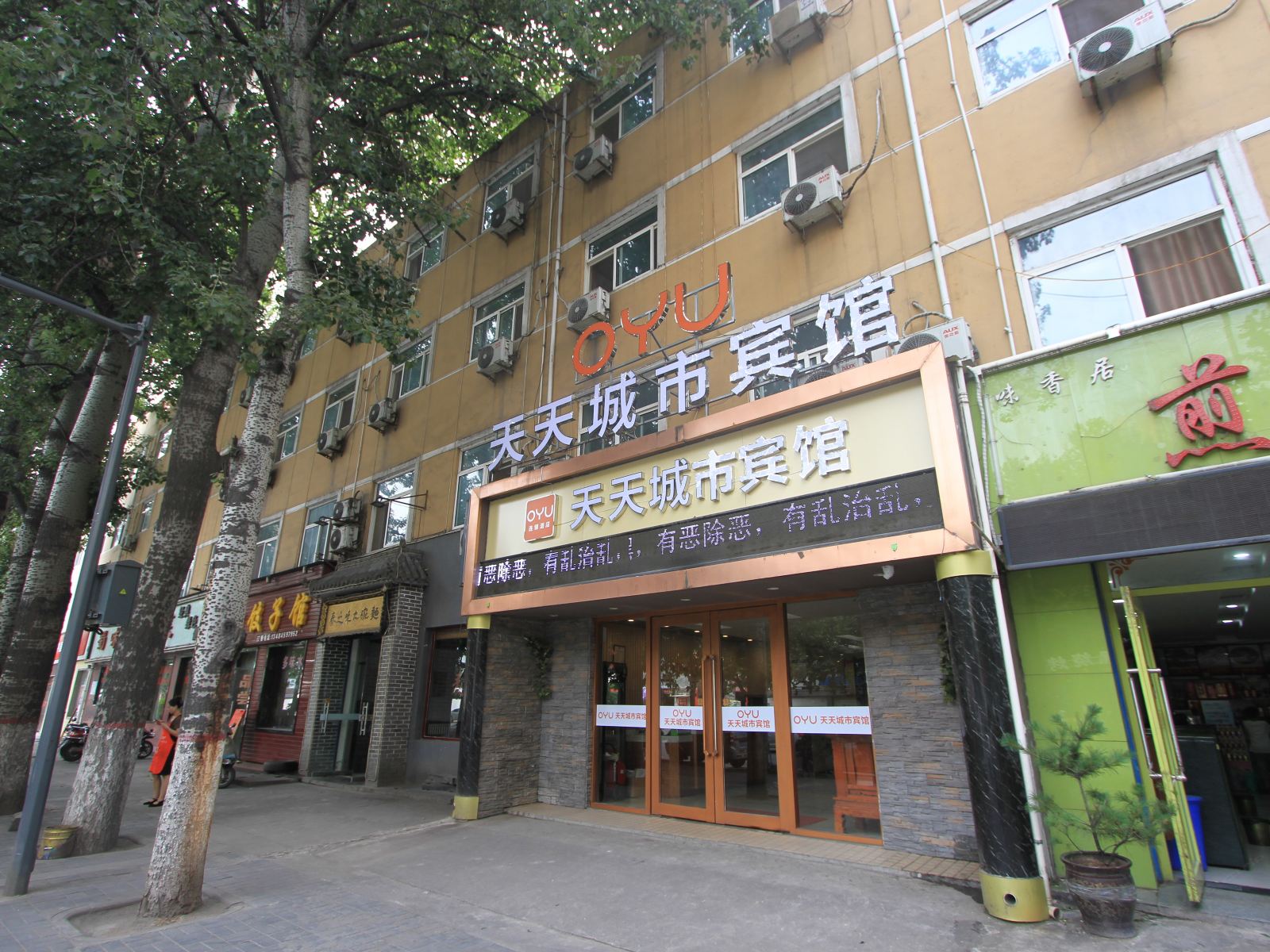 外观