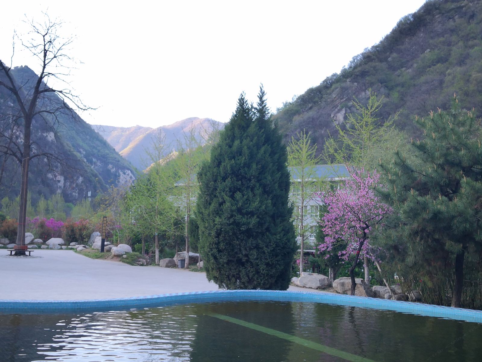 其他
