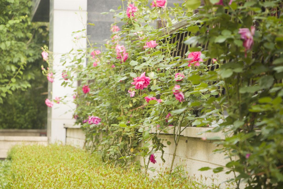 西安一道觉——夏至公寓