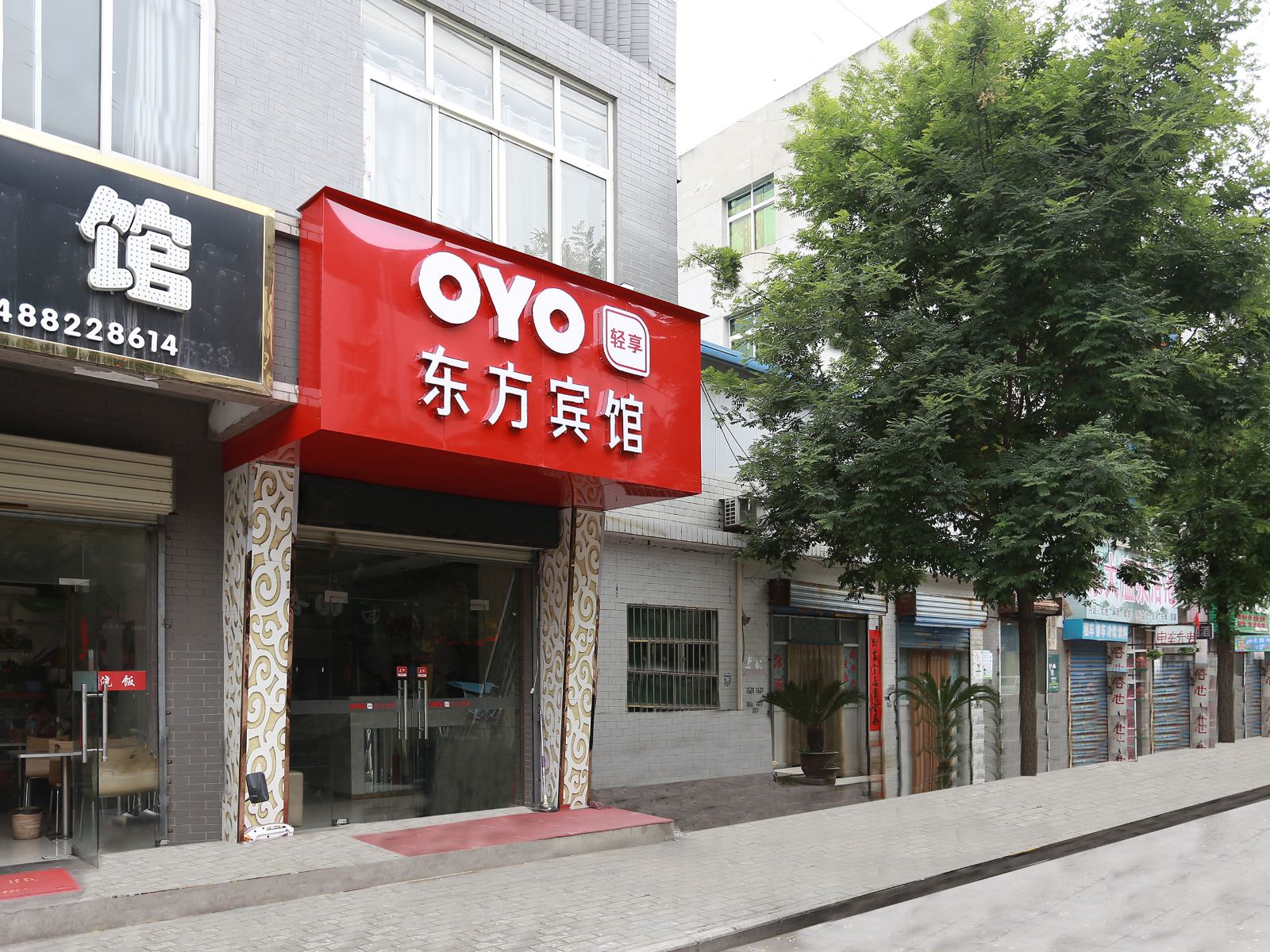 外观