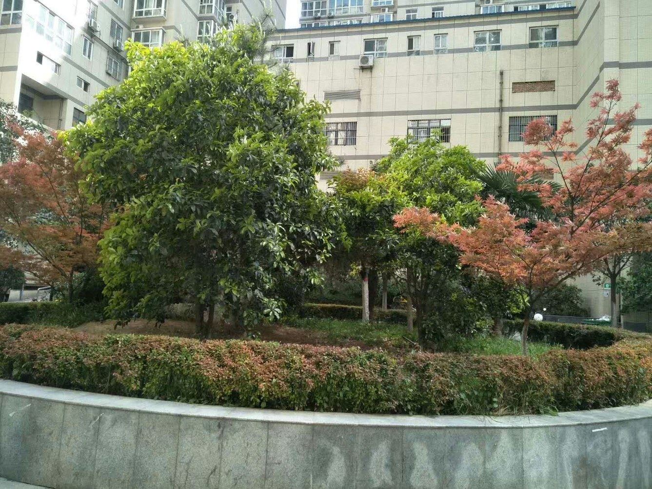 西安澄城阳光公寓(郝家村分店)