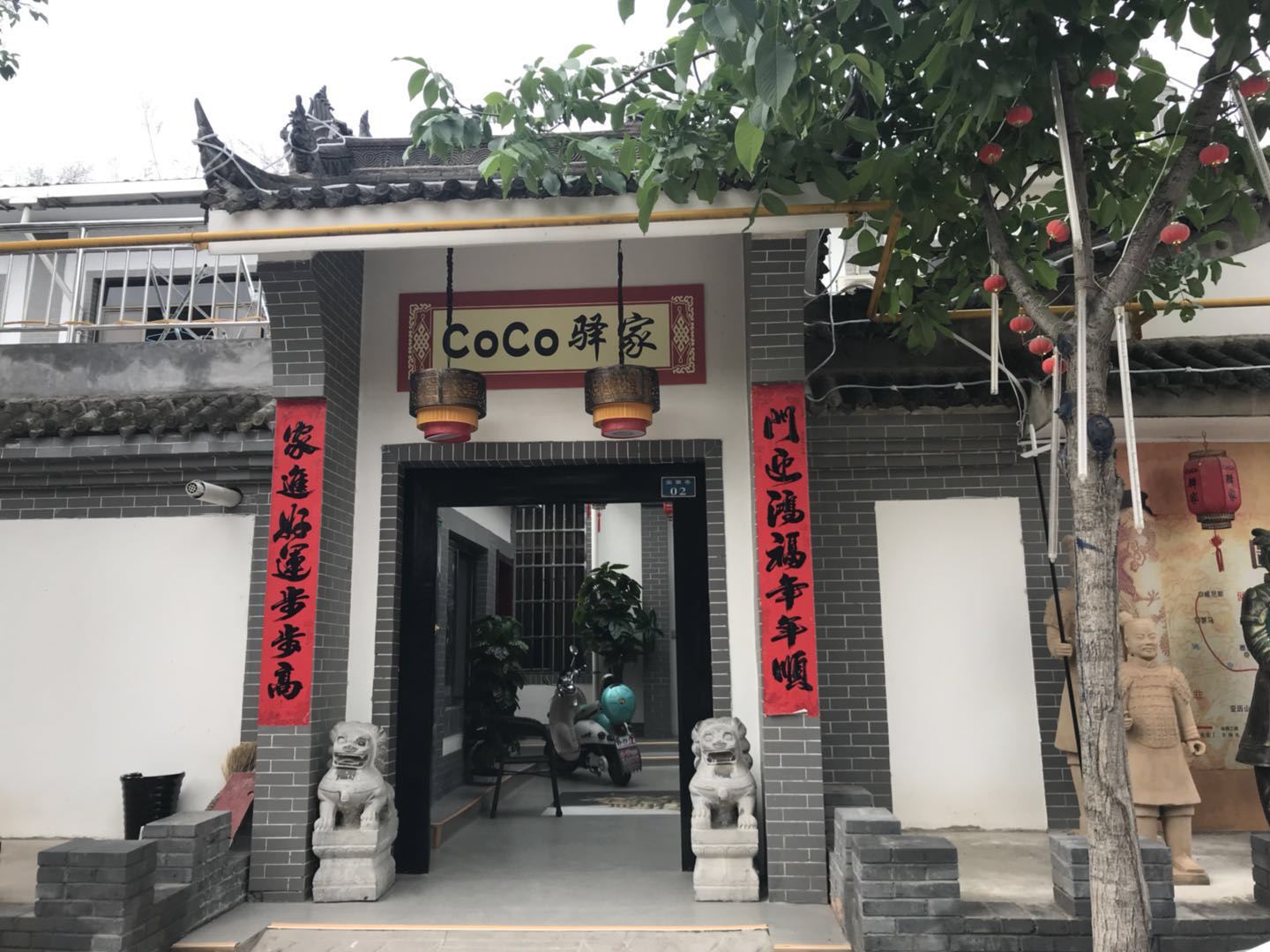 外观