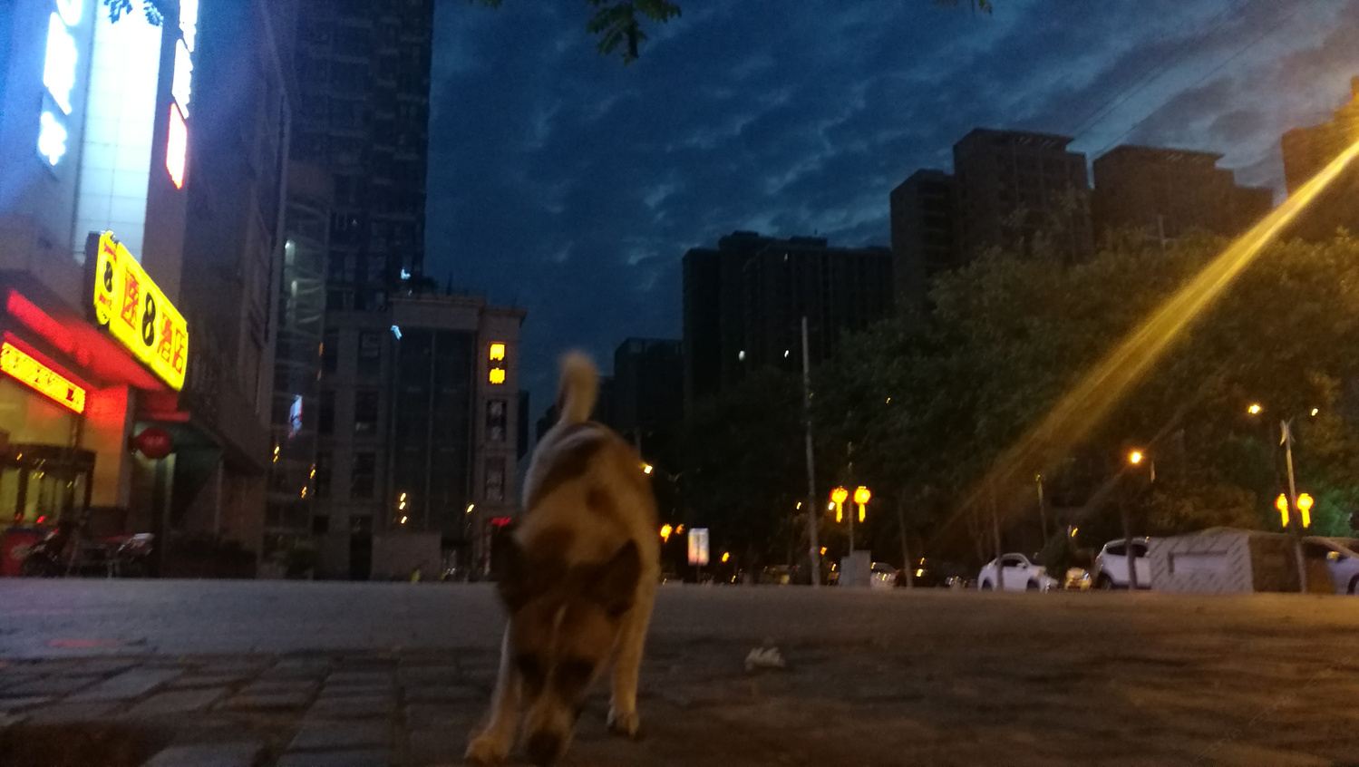 其他