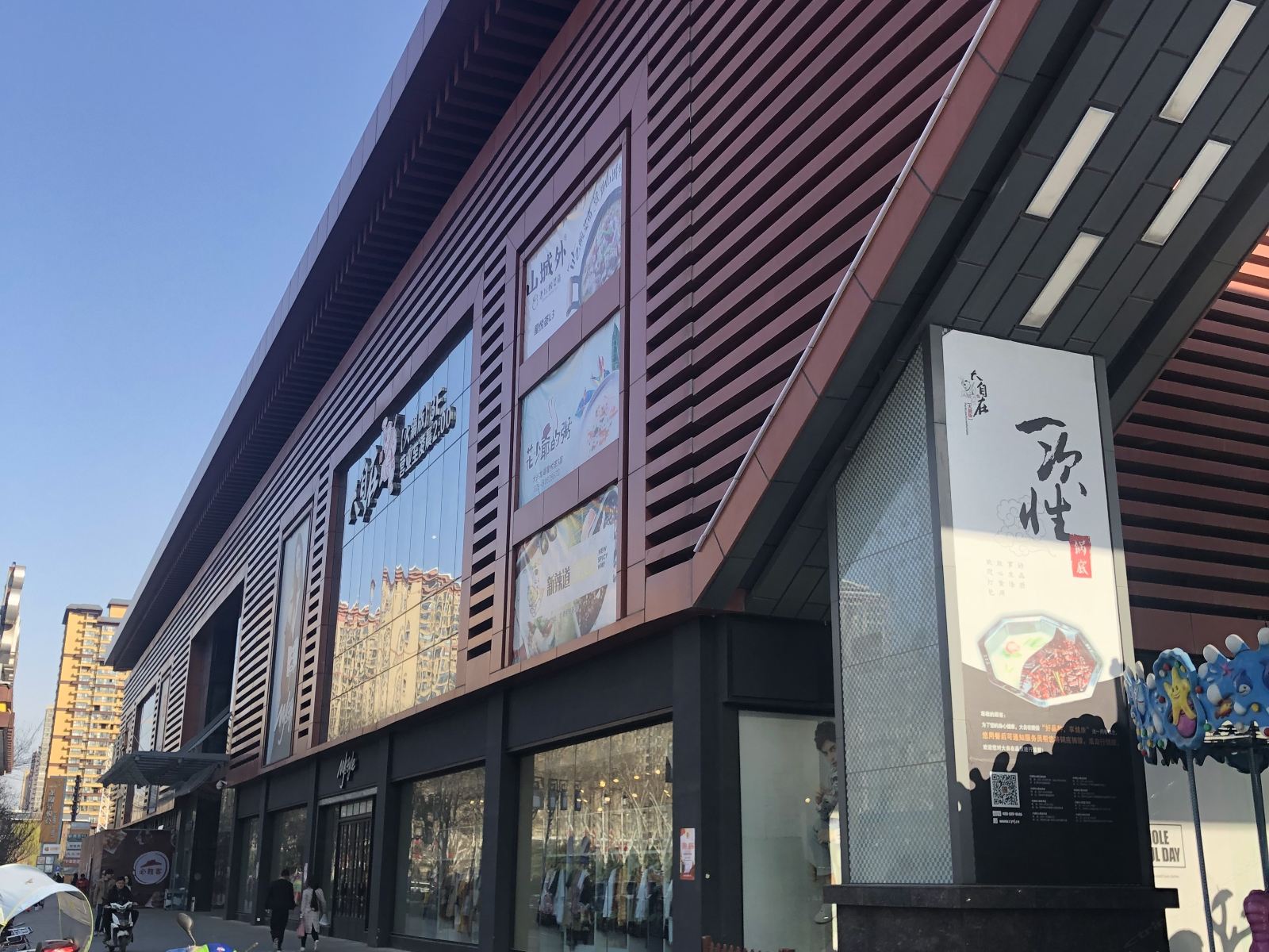 外观
