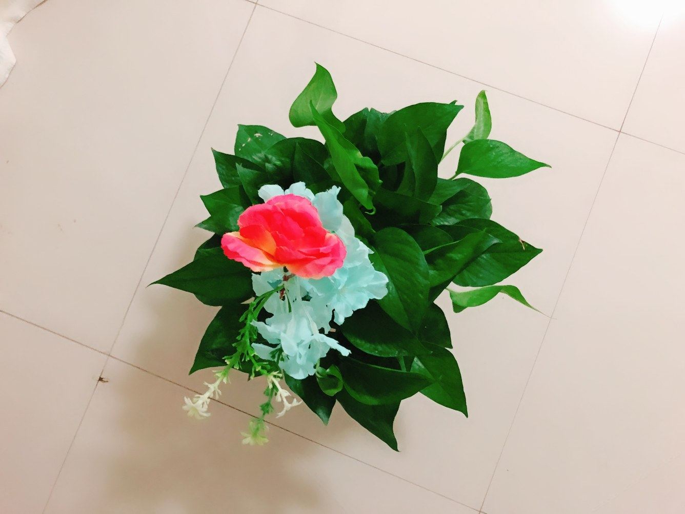 其他