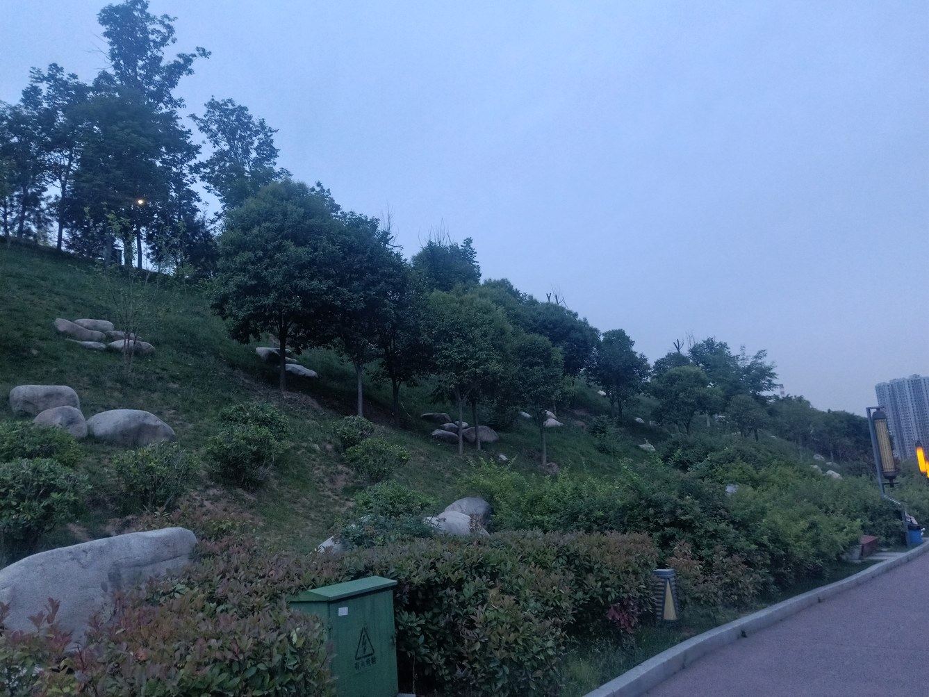 其他