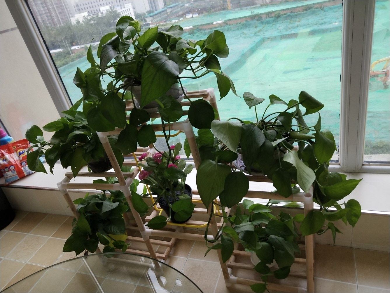 其他