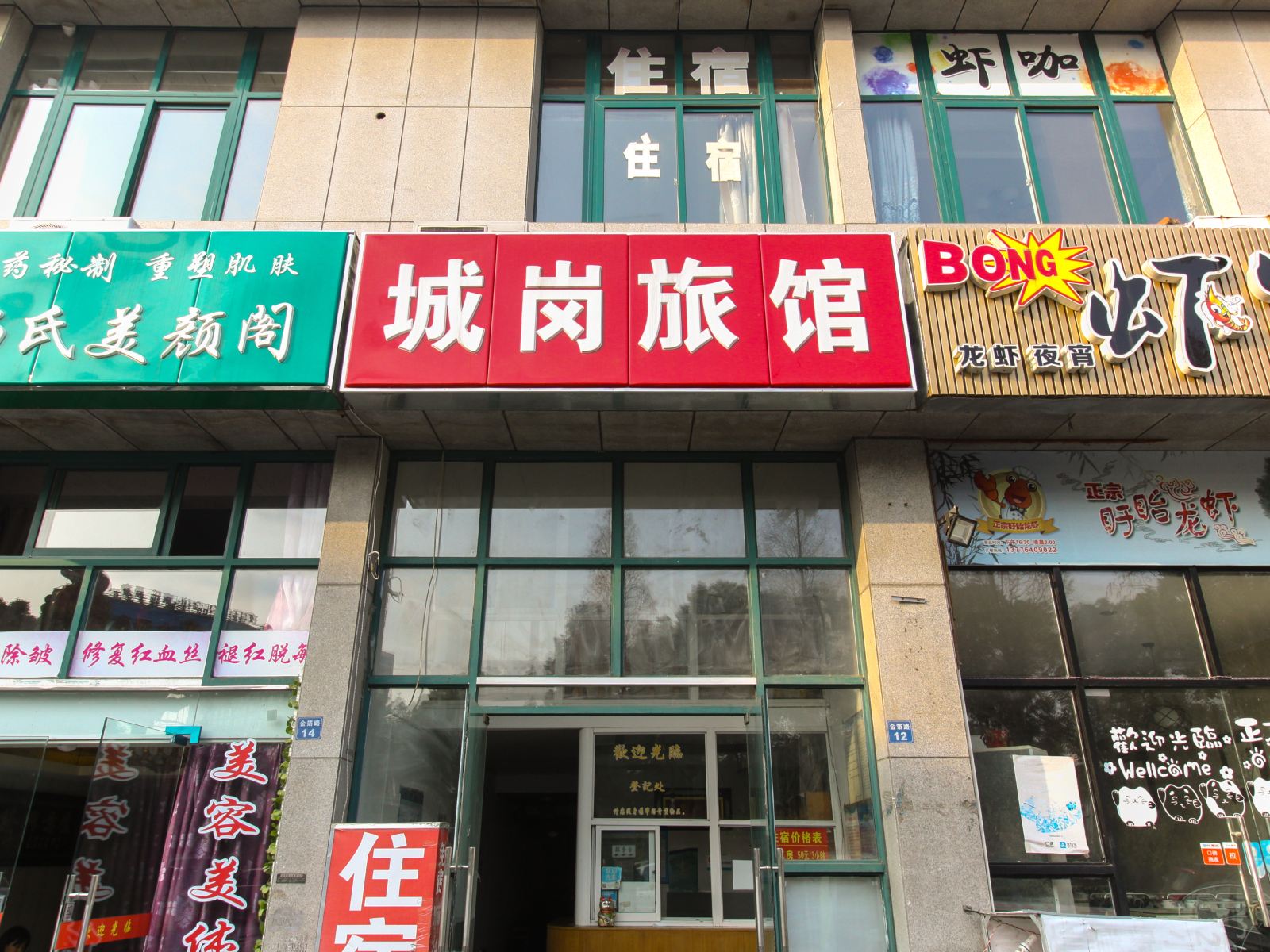 外观