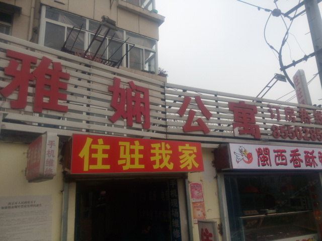 外观