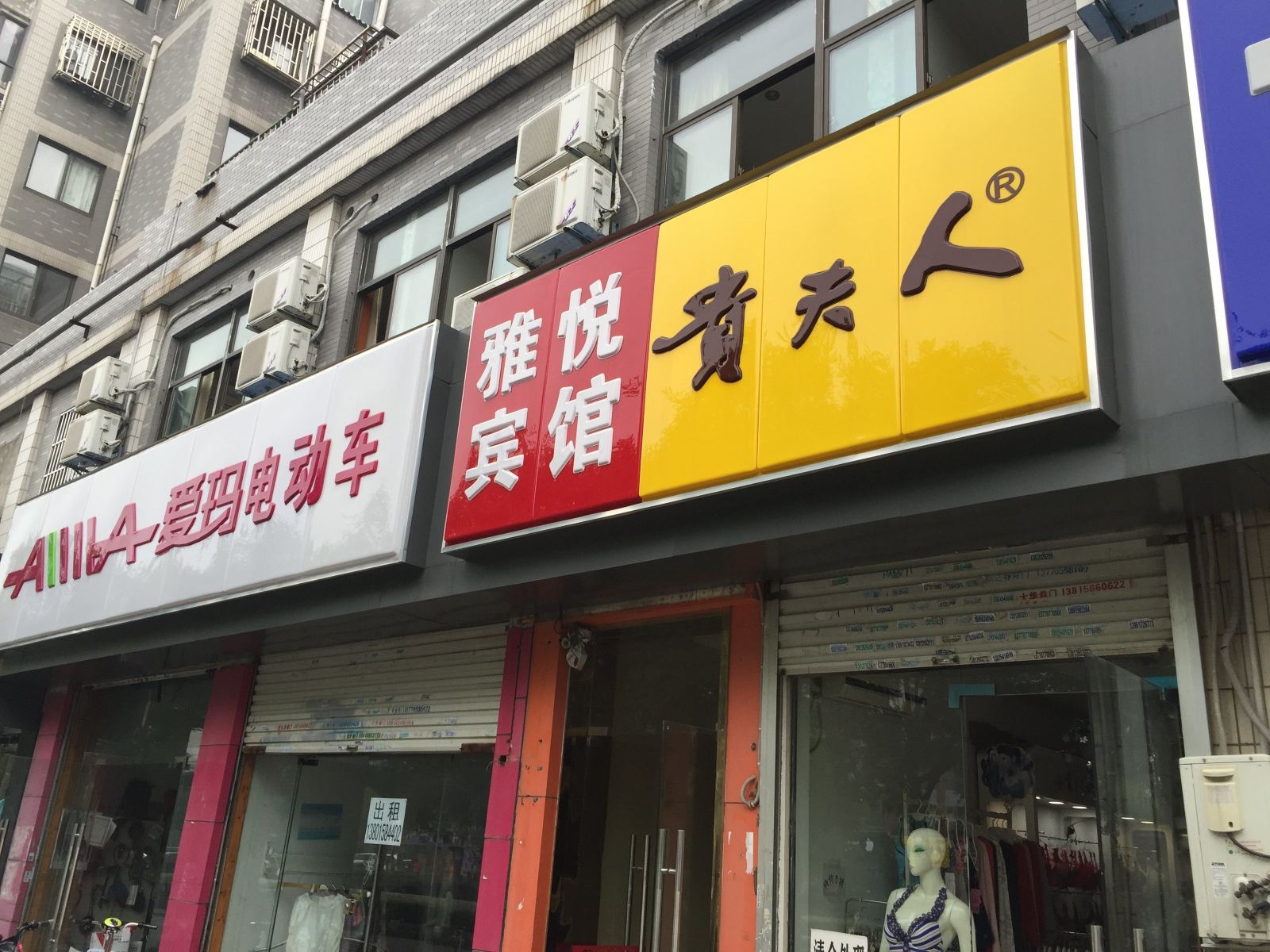 外观