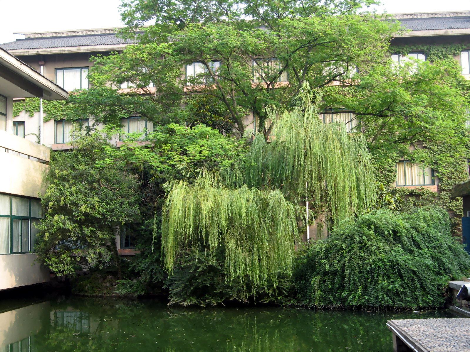 公共区域