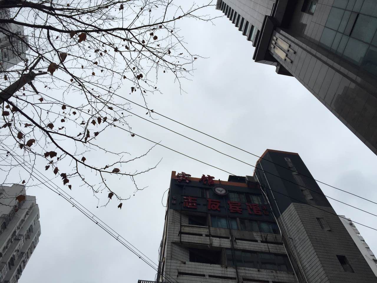 南京城市酒店